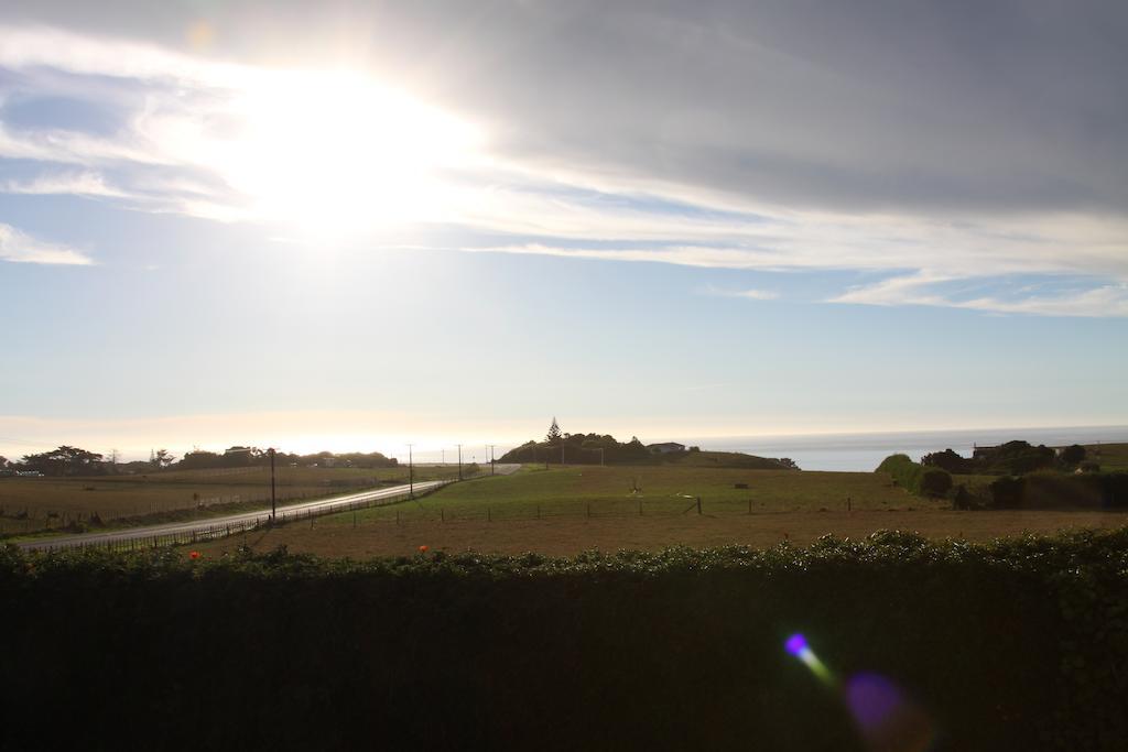 Richmond Farm Lodge New Plymouth Bagian luar foto